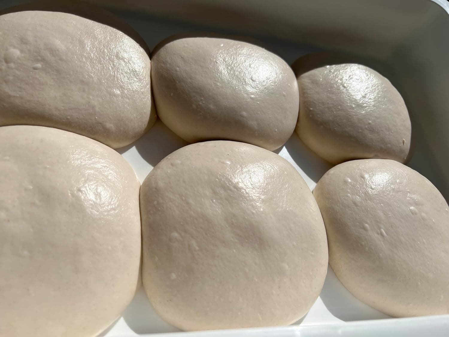 Prepa Pizza Six Pizza Dough Kit - Makes 4 Large or 6 Medium Pizza Dough Crusts